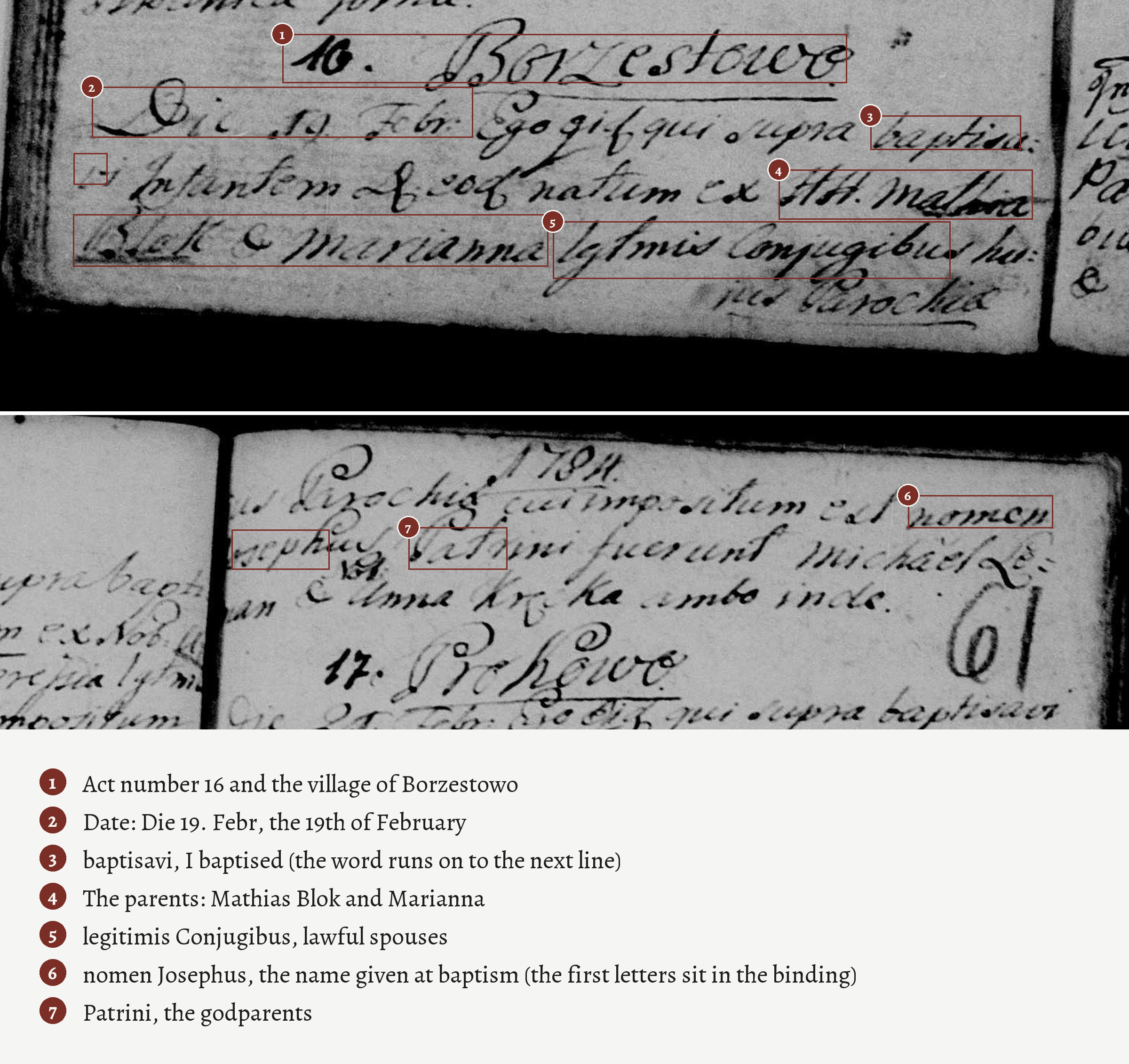 Baptism record 16 of 1784 from the parish of Chmielno with numbered boxes on each part